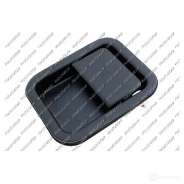 Ручка двери PRASCO 1423604186 8033533319563 JE4208001 FPP KR1C