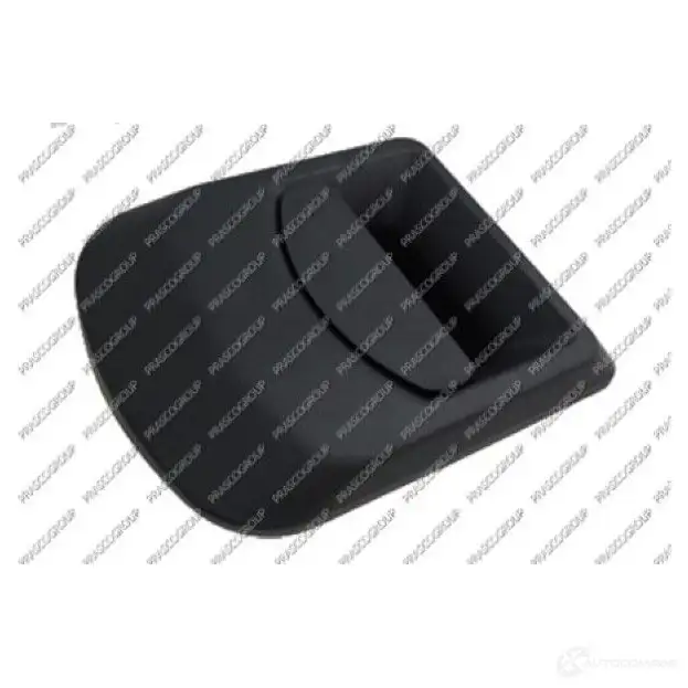 Ручка двери PRASCO FT9268002 1225573372 8033533326790 0GT8 T