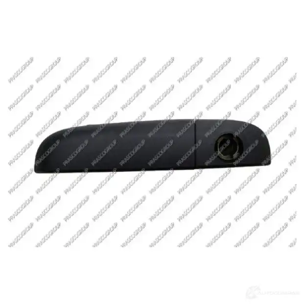 Ручка двери PRASCO FT1248002 9A R2G 1419471191 8033533405846