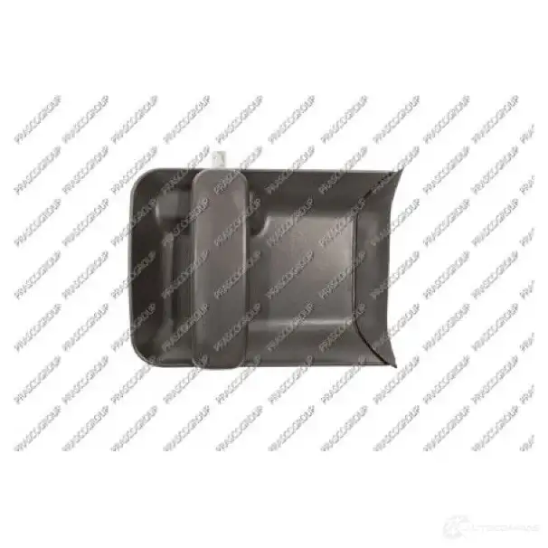 Ручка двери PRASCO 1225628306 PG9048104 8033533331145 GBM EQ