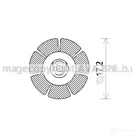 Моторчик печки, вентилятора PRASCO 4045385202591 2596133 8 BGGOA ms8662