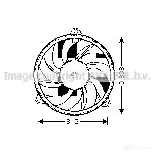 Радиатор охлаждения двигателя PRASCO ol2365 J6FEDD OP41 0R004 2598071 изображение 0