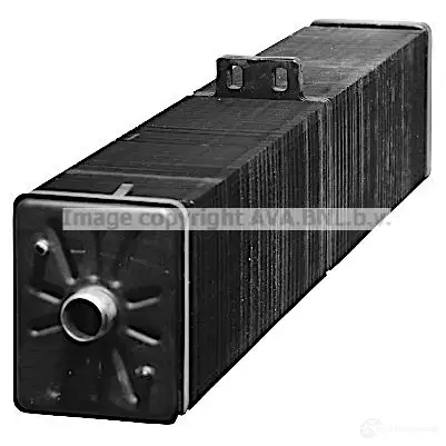 Радиатор охлаждения двигателя PRASCO CI 021R011 2578785 O77PY56 cn2070