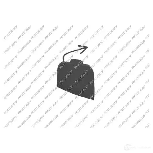 Заглушка бампера PRASCO SPQ QG 1198252202 8033533310614 VG0381286
