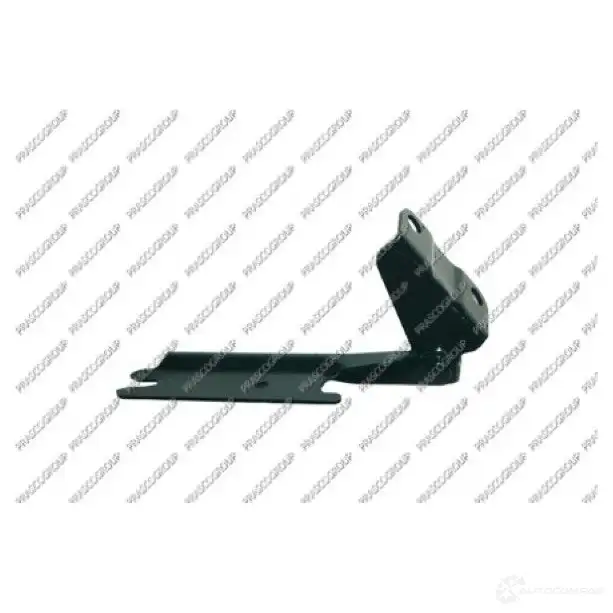 Петля капота PRASCO V RE73IK 2596922 8033533145773 mz0153704