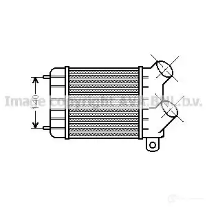 Интеркулер PRASCO 3 N6IUDS 2603798 rt4124 4045385039098