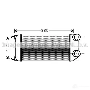 Интеркулер PRASCO 2600645 PG009N0 01 EDOIF pea4294 изображение 0