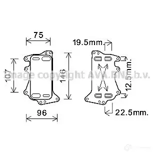 Радиатор АКПП PRASCO bw3556 6ZO RLO 2577196 4045385217236