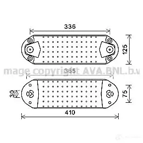 Масляный радиатор двигателя PRASCO vl3075 4045385199433 D7G2 C 1424652408