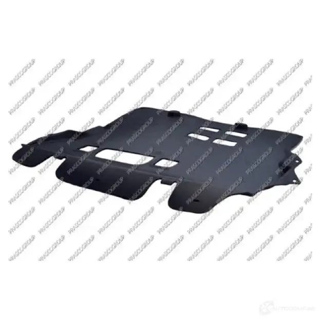 Защита бампера PRASCO PG9 081900 2578566 CI9181900 RX5JXGA