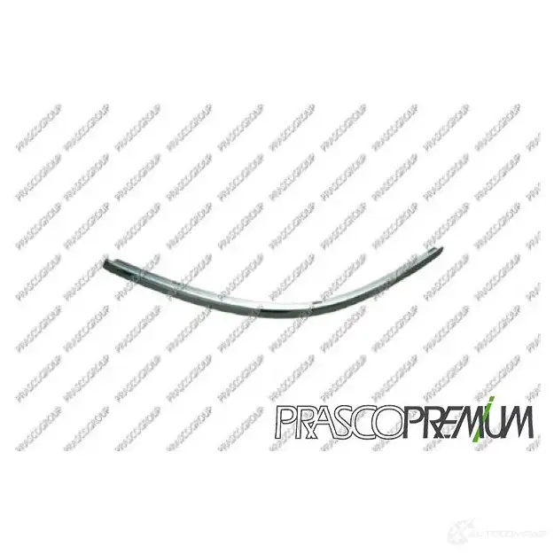 Накладка молдинг бампера PRASCO 1198252900 8033533124655 VG0531248 WG91U GV