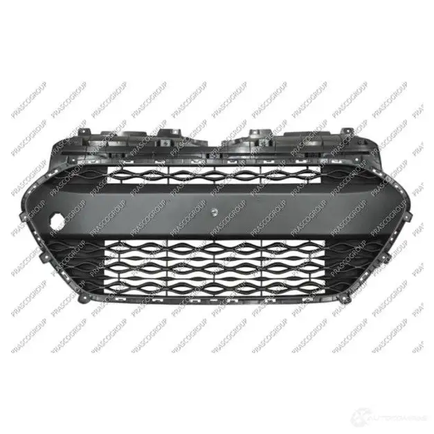 Решетка бампера PRASCO E1 1ZK HN0042120 1424881553