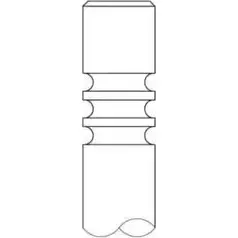 Выпускной клапан INTERVALVES 1078.239 G35 8FNZ FLG1XOV 3333674 изображение 0