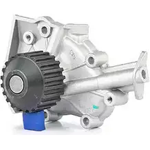 Водяной насос, помпа BSG BSG 16-500-004 QC6 954 8719822009758 3349922