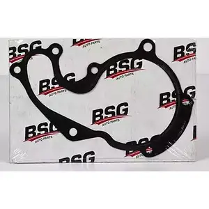 Прокладка водяного насоса (помпы) BSG 3350018 S F21DP3 BSG 30-116-017 8719822011546