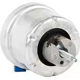 Подушка двигателя BSG BSG 65-700-171 8719822076743 3353368 DG0W T