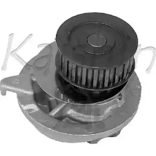 Водяной насос, помпа KAISHIN NVC5DWT WPK049 J1I I6M 3368327 изображение 0