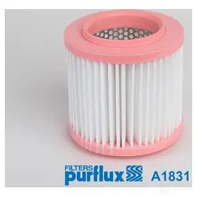 Воздушный фильтр PURFLUX 3286062018314 a1831 IWV2 L 1424782312