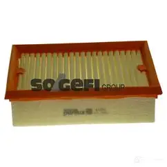 Воздушный фильтр PURFLUX EG1 MWH a1581 508135 3286062015818