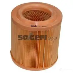 Воздушный фильтр PURFLUX a1271 3286064231780 507907 1PF HK