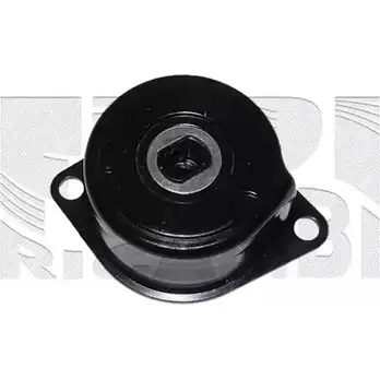 Натяжитель клинового ремня KM INTERNATIONAL M9Y6 YE 3369855 6QC0AP FI20280