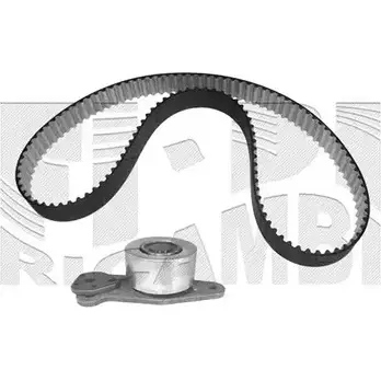 Комплект ремня ГРМ CALIBER 0030KR 3373706 NQSH TW BZO7FT