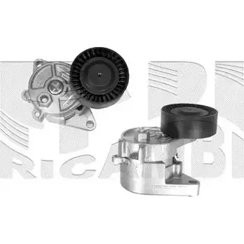 Натяжитель клинового ремня CALIBER H8A BDE 56463 3375505 M2JAGU