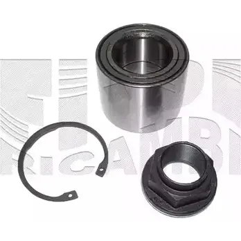 Ступичный подшипник, комплект CALIBER EW PST RC4033 OBJ3YJ 3377894 изображение 0