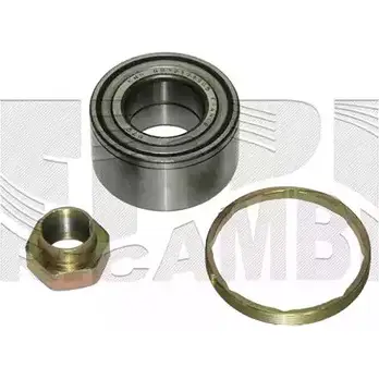 Ступичный подшипник, комплект CALIBER NJ4 RH RC9054 3378352 4366GG