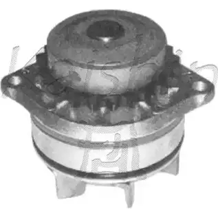 Водяной насос, помпа CALIBER 1YJ 4KU2 WPC224 OC3IYNX 3378465 изображение 0