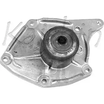 Водяной насос, помпа CALIBER 3378467 2V 4NT WPC233 IBVSP изображение 0