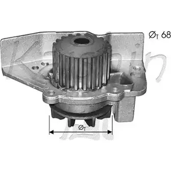 Водяной насос, помпа CALIBER GZ JNQ WPC350 KFP4TG 3378503