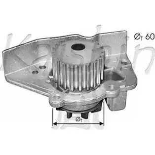 Водяной насос, помпа CALIBER WPC355 DSV DVT QO58GC 3378506 изображение 0