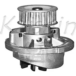 Водяной насос, помпа CALIBER YDE6I 5 U4BIA WPC402 3378547 изображение 0