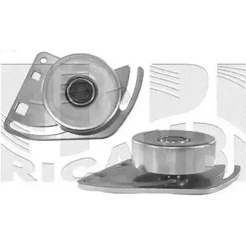 Натяжитель клинового ремня AUTOTEAM A00204 3378641 13CUU9 69U 555