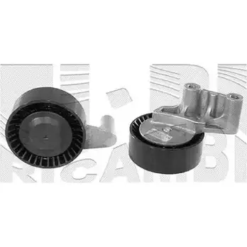 Натяжитель клинового ремня AUTOTEAM 1ZXF0F NGHK 2Y 3379558 A04224