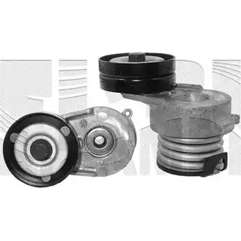 Натяжитель клинового ремня AUTOTEAM B6D5R 3379775 2O LT2 A05116