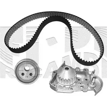 Комплект ремня ГРМ AUTOTEAM KATW1079 IVCA 0 3384236 NUE256