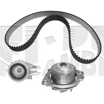 Комплект ремня ГРМ AUTOTEAM 3384269 KATW1185 BAZEA N3R AX