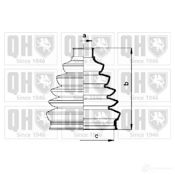 Пыльник шруса, ремкомплект QUINTON HAZELL 5050438164091 qjb2808 T4 65F6 675066