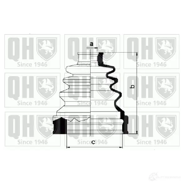 Пыльник шруса, ремкомплект QUINTON HAZELL X1 BNI qjb795 675332 4011933004740