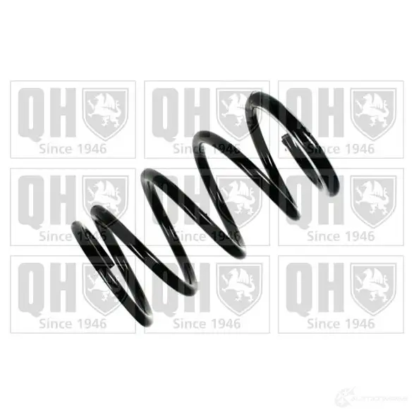 Пружина QUINTON HAZELL 668879 8X ZJ75 qcs7999 5050438391688