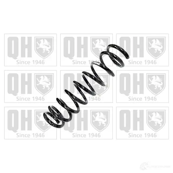 Пружина QUINTON HAZELL qcs6713 667613 D56 5C3A 5050438378825