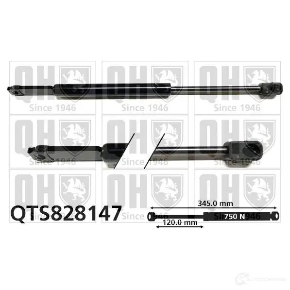 Амортизатор капота QUINTON HAZELL WF 3ZW0R qts828147 5050438402995 688983