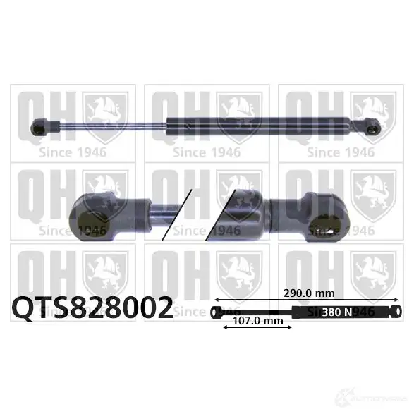Амортизатор багажника, упор задней двери QUINTON HAZELL 688860 BB VEK qts828002 5050438328301