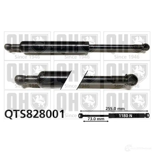 Амортизатор багажника, упор задней двери QUINTON HAZELL 5050438328295 QC V3O qts828001 688859
