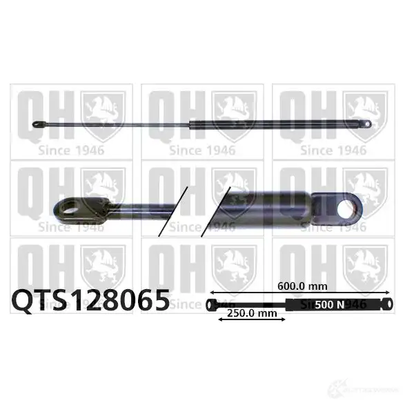 Амортизатор багажника, упор задней двери QUINTON HAZELL qts128065 688265 O 9ISWQ 5016593267084