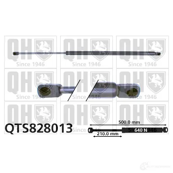 Амортизатор багажника, упор задней двери QUINTON HAZELL 5050438402407 688872 qts828013 D9YFNV I