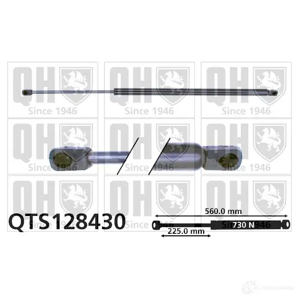 Амортизатор багажника, упор задней двери QUINTON HAZELL 3AMF L qts128430 688471 5016593594654