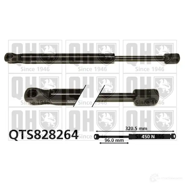 Амортизатор багажника, упор задней двери QUINTON HAZELL CH9OG P qts828264 689054 5050438413878